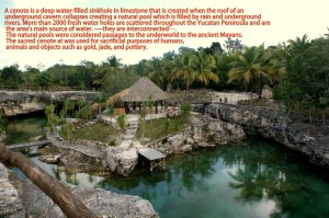 Tortuga Cenote/Photo Kendra Yost