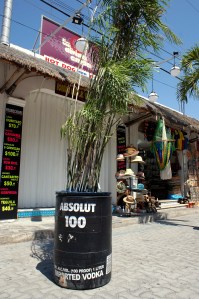 A liquor container as a planter. (Photo/Kendra Yost)