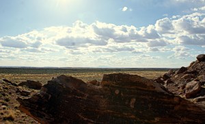 Hopi petroglyphs at the Homolovi  ruins (Photo/Kendra Yost)