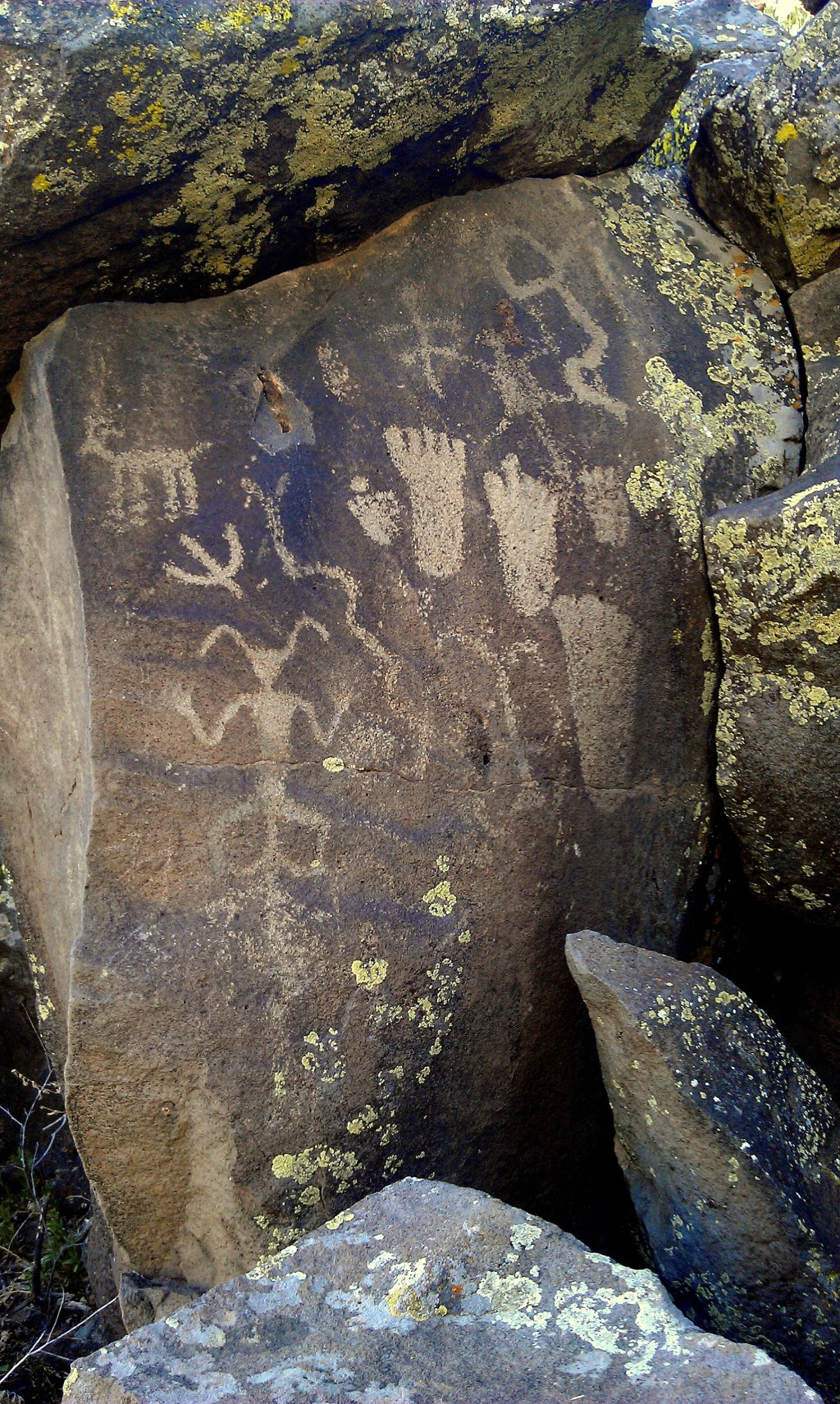 Hidden Petroglphys in Show Low&nbsp;Arizona