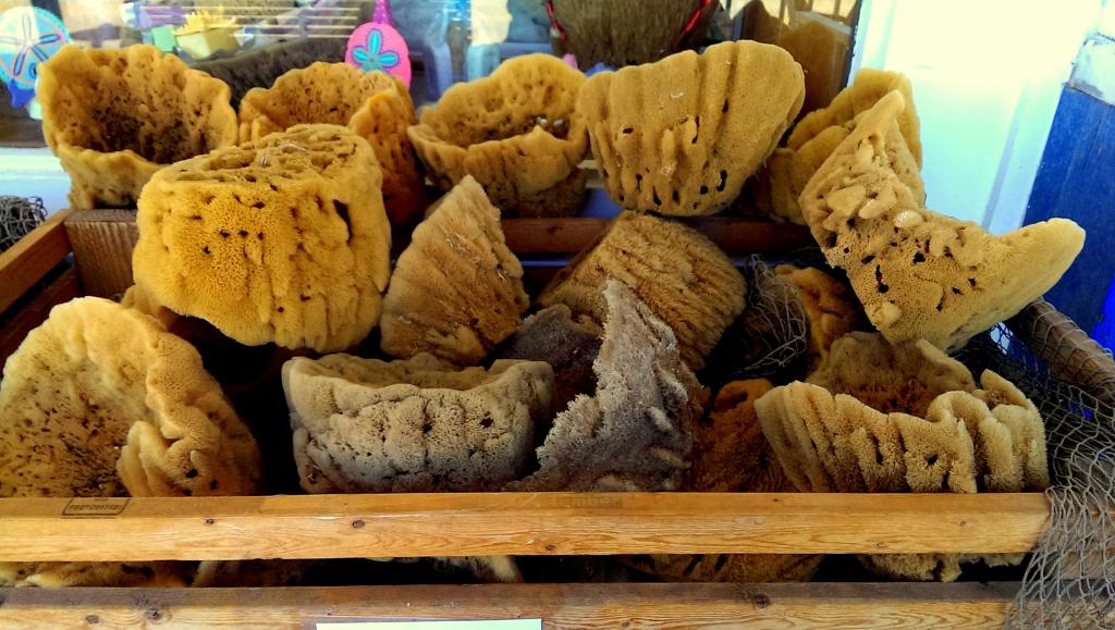 Tarpon Springs at the Sponge&nbsp;Docks